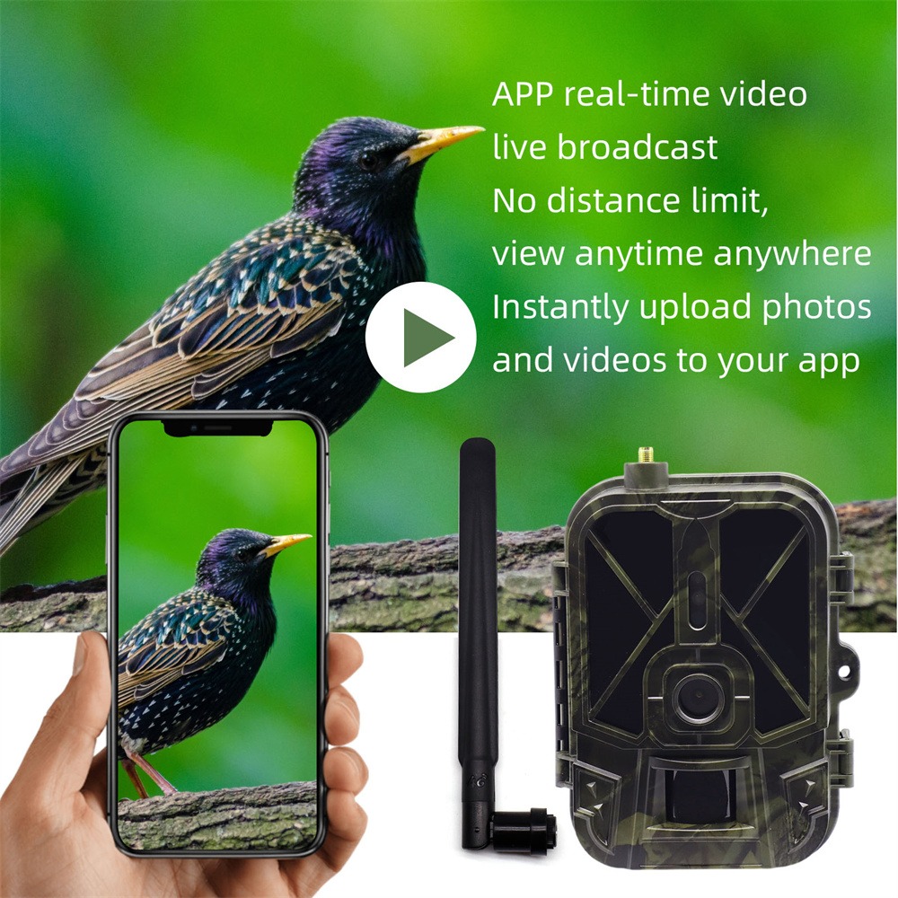 Outdoor 4G 120MP 4K Live Show  - Hunting And Outdoor Shows review and price