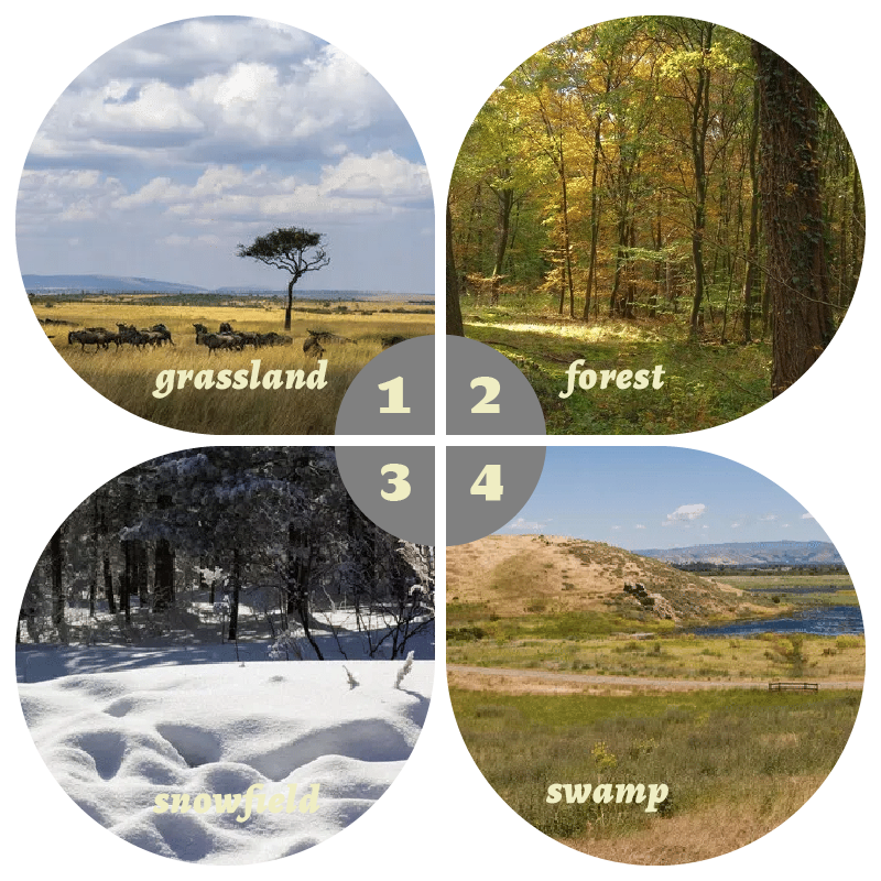 Camouflage Pop-Up Hunting Blin - Hunting Outdoor review and price