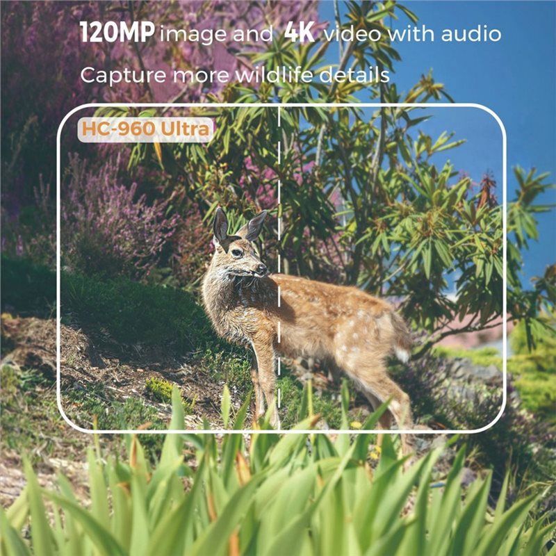 AS95-Outdoor 4G 120MP 4K Live  - Hunting And Outdoor Shows review and price