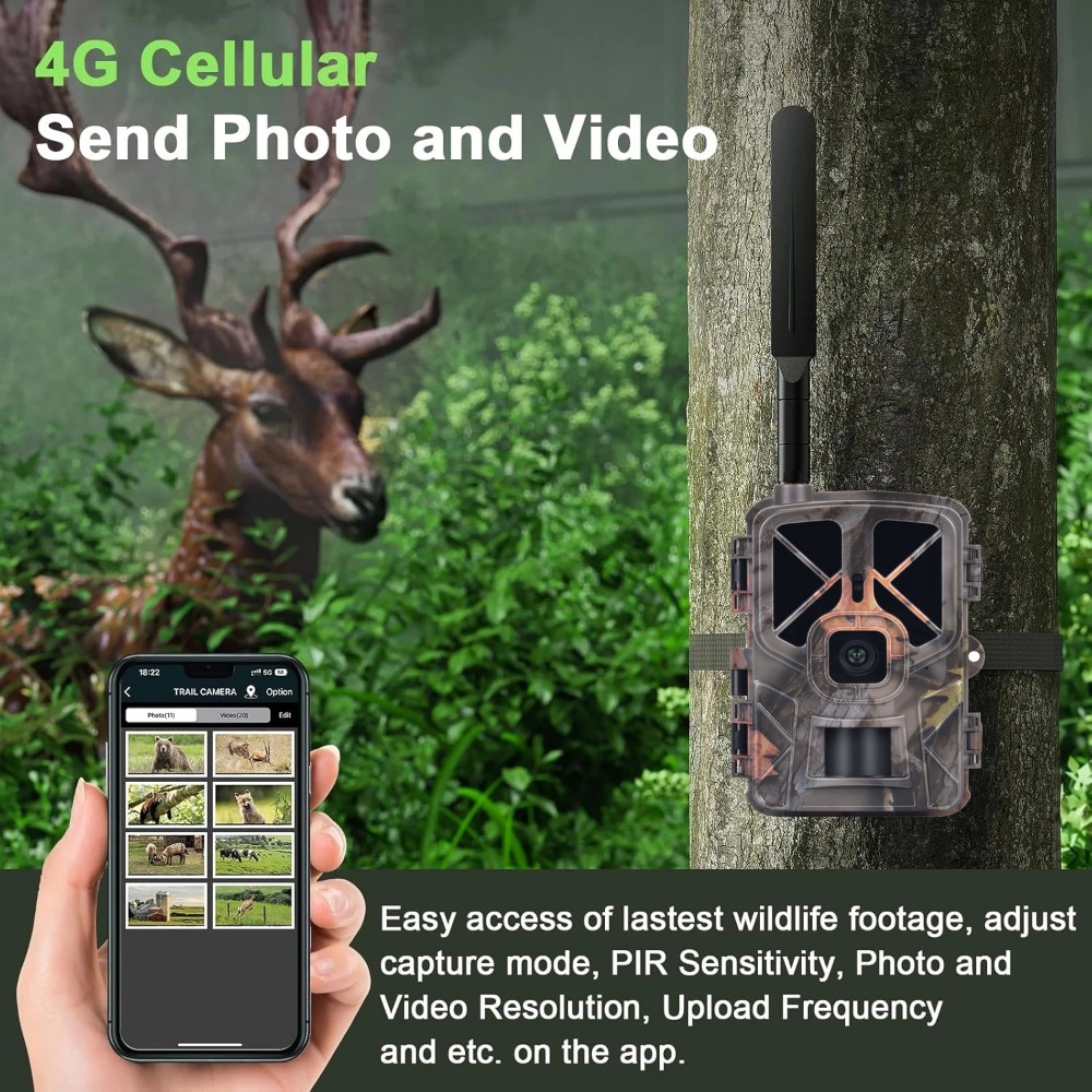 Outdoor 4G 30MP 2K Live Show W - Hunting And Outdoor Shows review and price