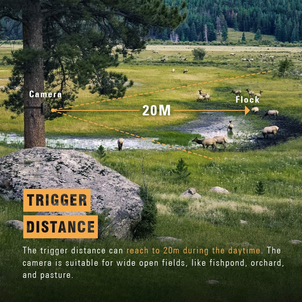 Outdoor 4G 30MP Infrared 2K Li - Hunting And Outdoor Shows review and price